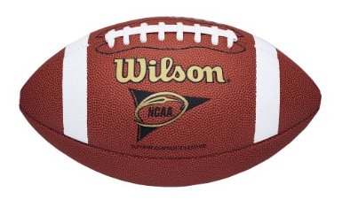Wilson Composite Football